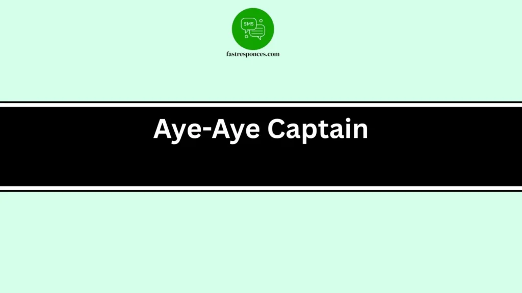 Aye-Aye Captain