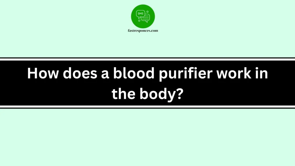How does a blood purifier work in the body?