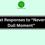 Best Responses to “Never a Dull Moment”