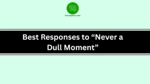 Best Responses to “Never a Dull Moment”