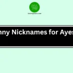 Funny Nicknames for Ayesha
