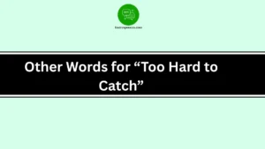Other Words for “Too Hard to Catch”