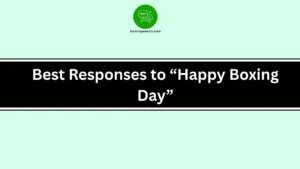 Best Responses to “Happy Boxing Day”