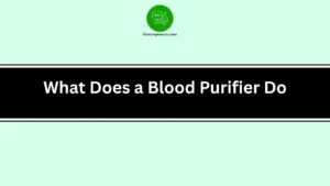 What Does a Blood Purifier Do