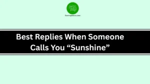 Best Replies When Someone Calls You “Sunshine”