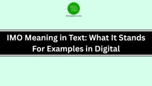 IMO Meaning in Text: What It Stands For Examples in Digital