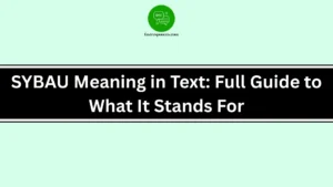 SYBAU Meaning in Text: Full Guide to What It Stands For