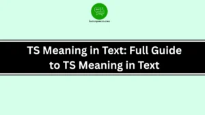 TS Meaning in Text: Full Guide to TS Meaning in Text