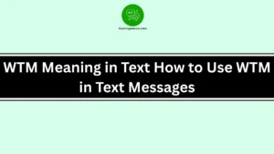 WTM Meaning in Text How to Use WTM in Text Messages