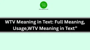WTV Meaning in Text: Full Meaning, Usage,WTV Meaning in Text”