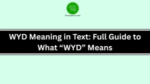 WYD Meaning in Text: Full Guide to What “WYD” Means